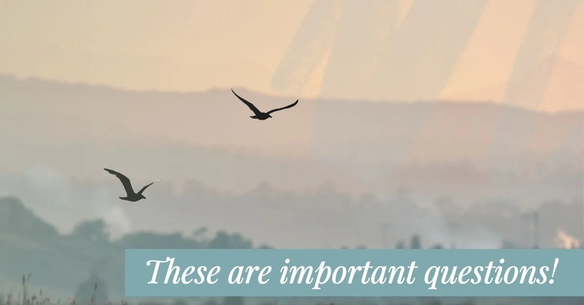 Grief, Loss, Surviving Grief, Comfort, Bereavement, Grieving Families, Losing a Child, Losing a Loved One, Healing a Broken Heart, A Time to Mourn, Weep With Those Who Weep, Tears, Pain of Loss, Caring For the Hurting, God of All Comfort, Understanding Grief, Being a Good First Responder
