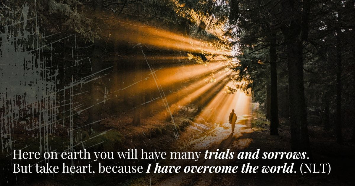  Safeguards Against Deception, Light, Exposing Darkness, Imposters, Word of God, Absolute Truth, Final Authority, False Witnesses, Guard Your Heart, Truth
