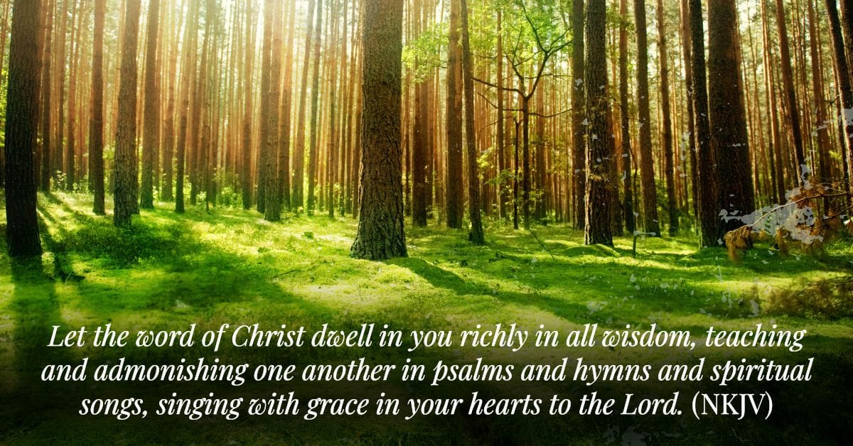 Grief, Loss, Surviving Grief, Comfort, Bereavement, Grieving Families, Losing a Child, Losing a Loved One, Healing a Broken Heart, A Time to Mourn, Weep With Those Who Weep, Tears, Pain of Loss, Caring For the Hurting, God of All Comfort, Understanding Grief, God is Faithful