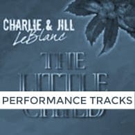Christmas Song For All Year Round-performance track (TLC)